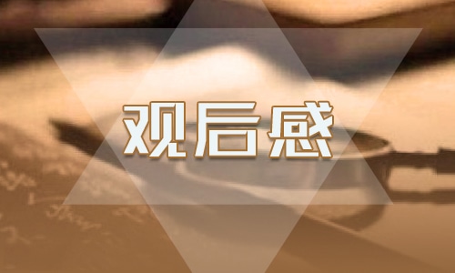 2022辛亥革命观后感作文500字
