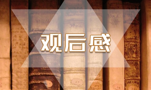 2022观看我和我的家乡观后感和启发800字作文10篇