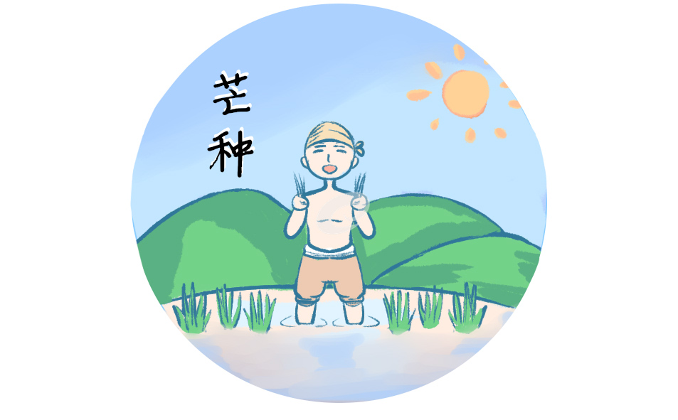 2022芒种的由来和传说故事_芒种简短来历