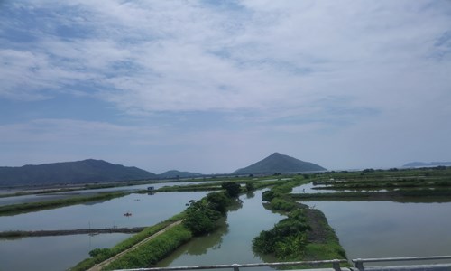 2022山西太原男子开水烫怀孕母猫事件